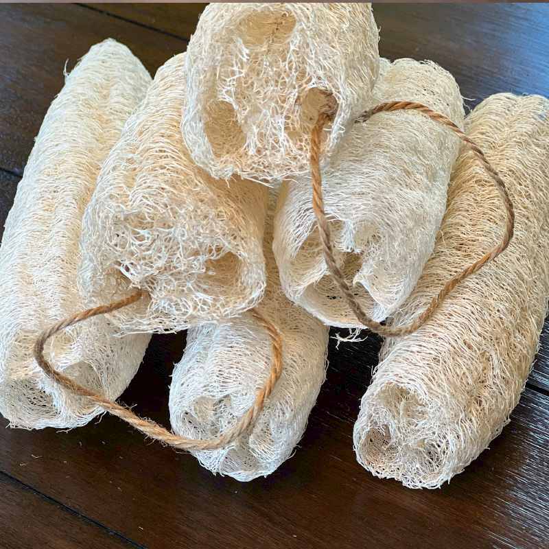 Loofah Sponge - Medium